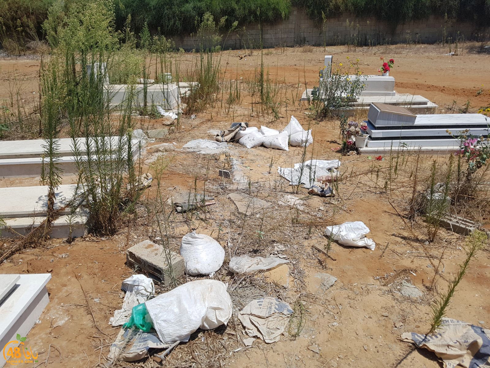 tasoo mabkqbara (29).jpg